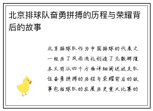 北京排球队奋勇拼搏的历程与荣耀背后的故事