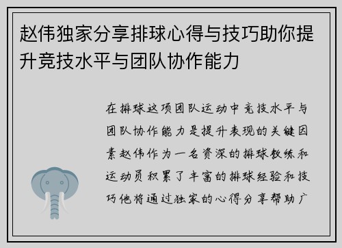 赵伟独家分享排球心得与技巧助你提升竞技水平与团队协作能力